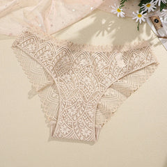 Calcinha Renda Sexy - Strass - Cintura Baixa - Lingerie Feminina 